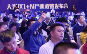 北京大興發布“1+N”產業政策